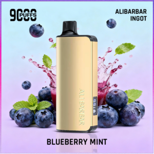 Alibarbar Ingot Blueberry Mint 9000 Puffs
